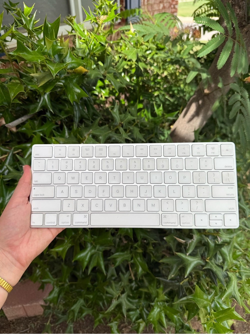 Apple Magic Keyboard
